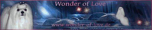 www.wonder-of-love.de